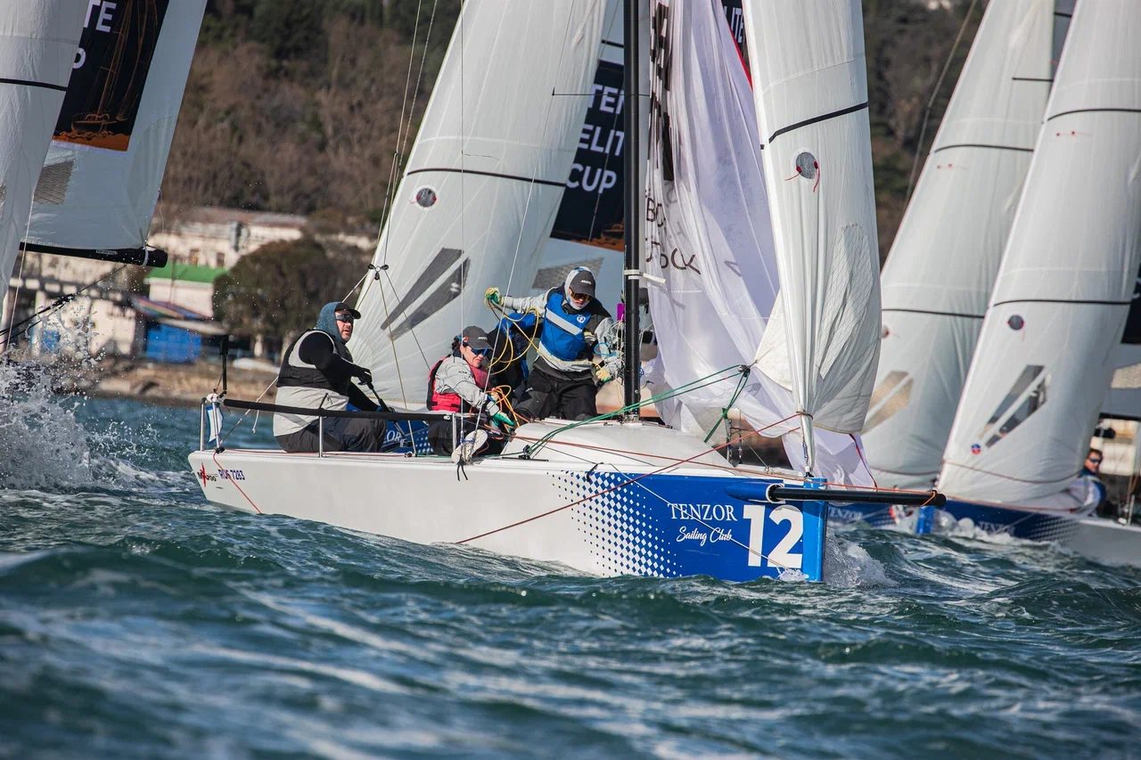 Tenzor Elite Cup