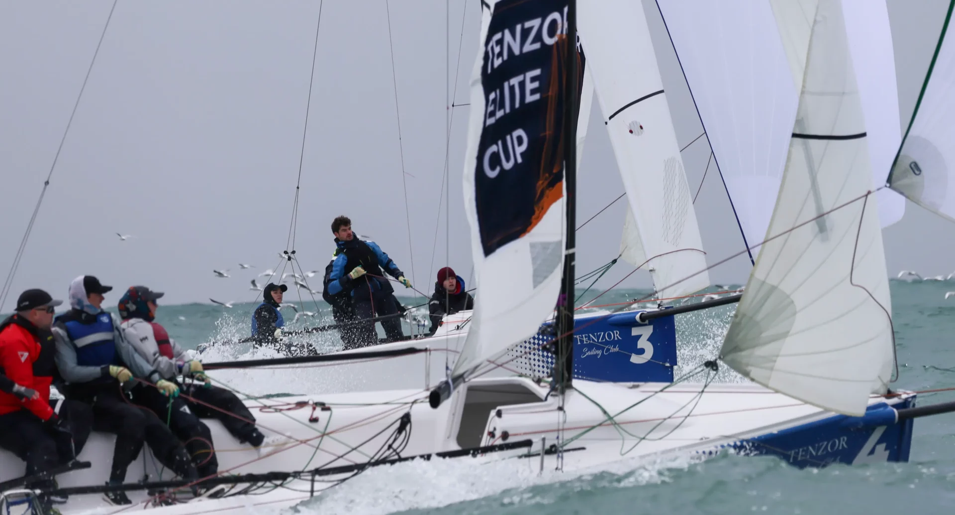 Tenzor Elite Cup